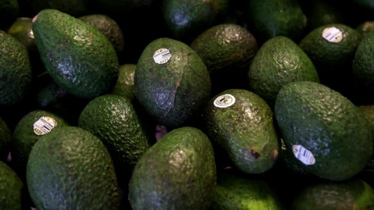 Avocados: Record Breaking Sales