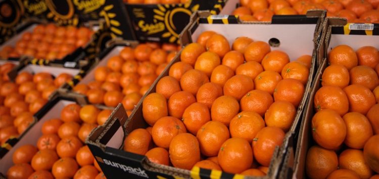 Weather, Disease Spark Citrus Supply Woes