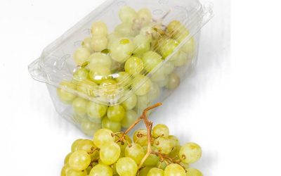 Grape Competition: Peru & Chile