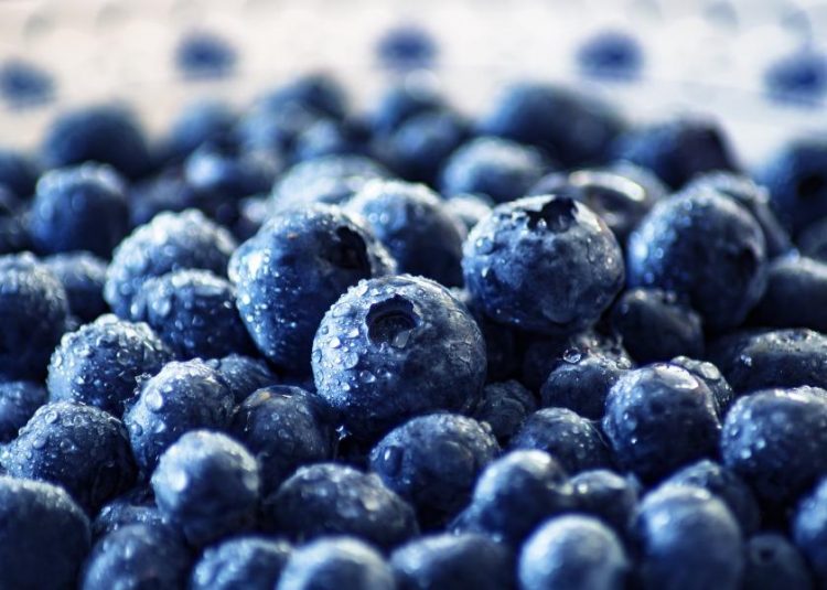 Blueberry Cognitive Benefits