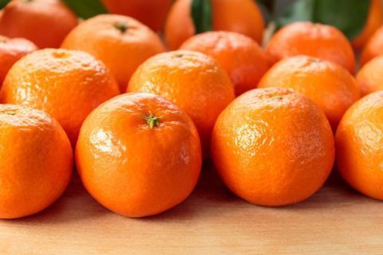 Chilean Summer Citrus Expectations