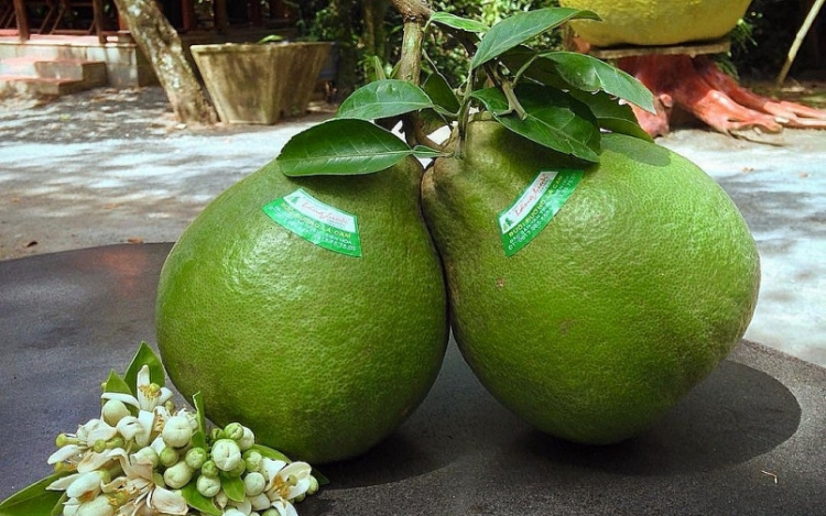 USDA: Authorizes Pummelo Fruit From Vietnam