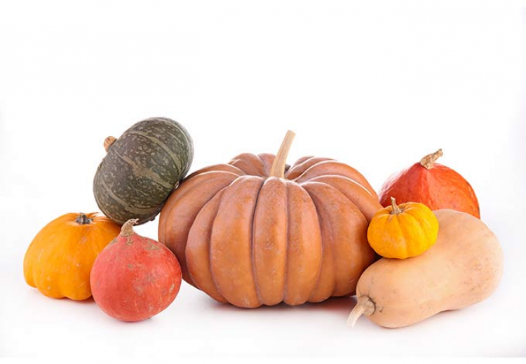USDA: Pest Risk Analysis BR Pumpkins / Squash