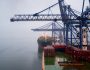 Brazil to North America Shipping Rates Surge